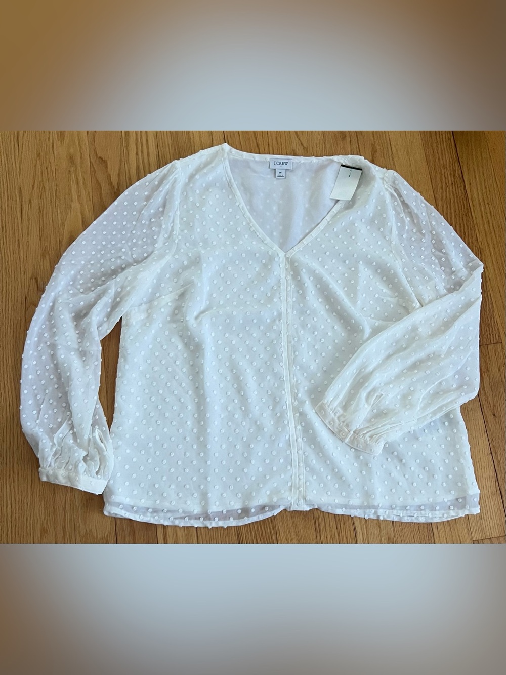 J. Crew Off-White Swiss Dot V-Neck Long Sleeve Blouse